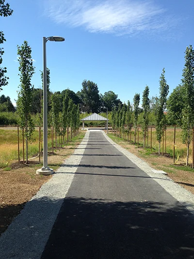 Path