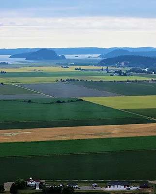 skagit-county-fields-above-bay-area Skagit County Fields